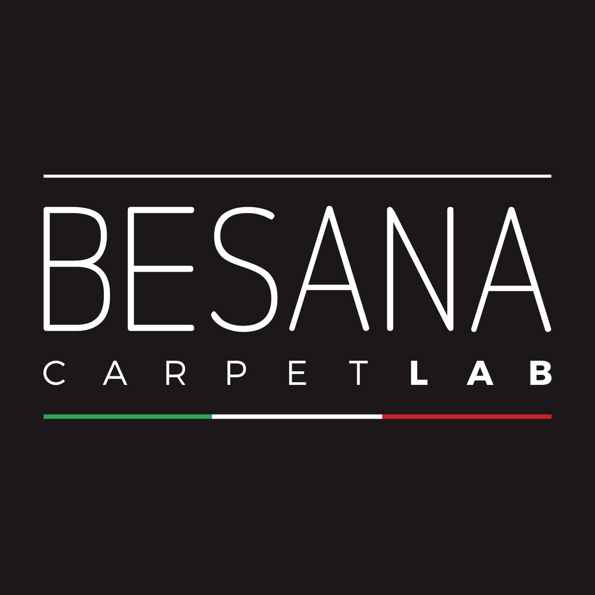 Besana Logo